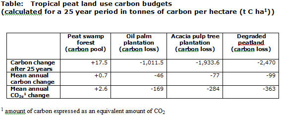 The Palm Oil Impact On Peatlands: A Rise In CO2